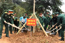 Các đại biểu tham gia trồng cây.