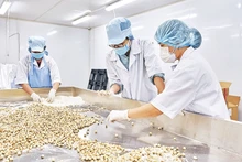 Người lao động tại công ty Đất Phú, Thành phố Hồ Chí Minh (Ảnh minh họa: Phương Vy).