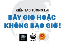 Bộ nhận diện Giờ Trái đất 2022 của Bộ Công thương.