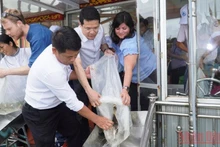 Lãnh đạo UBND tỉnh Thừa Thiên Huế cùng đại diện WWF Na Uy và WWF tại Việt Nam tiến hành thả cá để tái tạo nguồn lợi thủy sản. (Ảnh: CTV)