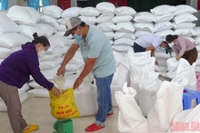 Cấp phát gạo hỗ trợ của Chính phủ đến người dân gặp khó khăn do đại dịch Covid-19 trên địa bàn tỉnh Phú Yên. (Ảnh minh họa: TRÌNH KẾ)