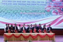 Ký kết hợp tác tiêu thụ vải thiều năm 2022.