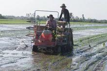 Hợp tác xã Dịch vụ nông nghiệp Mỹ Đông 2, huyện Tháp Mười, tỉnh Đồng Tháp áp dụng máy cấy lúa trên đồng ruộng. (Ảnh: Hữu Nghĩa)