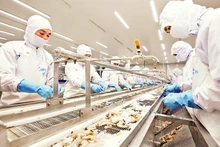 Dây chuyền chế biến hải sản tại Công ty Phát triển kinh tế duyên hải (COFIDEC). Ảnh: CTV