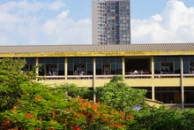 Trong khuôn viên Trường đại học Khoa học Tự nhiên (ảnh chụp thời điểm năm 2020)