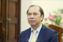 Thứ trưởng Ngoại giao Nguyễn Quốc Dũng. (Ảnh: TTXVN)