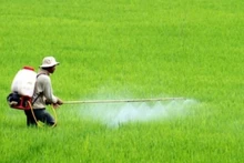Một nền nông nghiệp sạch thì phải làm sáng tỏ trong khâu sử dụng phân bón và thuốc bảo vệ thực vật.