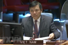 Đại sứ Đặng Đình Quý. (Ảnh: TTXVN).