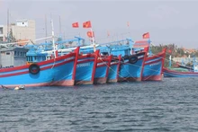 Ảnh minh họa. (Nguồn: TTXVN)