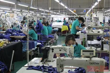 Công nhân Công ty TNHH BoHsing Vĩnh Long trong giờ sản xuất. (Ảnh: Bá Dũng). 