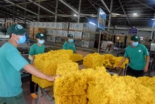 Tiếp nối truyền thống “Phú Riềng đỏ”