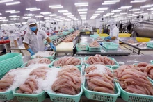 Xuất khẩu thuỷ sản đang gặp khó.