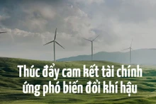 Thúc đẩy cam kết tài chính ứng phó biến đổi khí hậu
