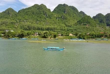 (Ảnh minh họa)