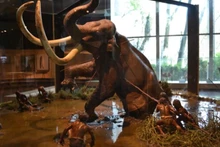 (Nguồn: wp.com)