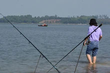 Một gốc hồ Trị An.