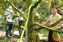 Cán bộ “Tổ công tác đặc biệt” về cơ sở gặp gỡ trực tiếp người dân để giúp tìm đầu ra cho sản phẩm nông nghiệp.