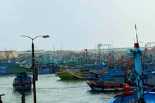 Tàu cá ngư dân vào tránh trú bão trong Cảng cá Quy Nhơn. (Ảnh: Đào Xuân Thiện)