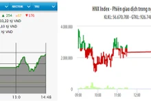 Diễn biến VN-Index và HNX-Index phiên giao dịch ngày 19-11.