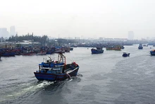 Ảnh minh họa.
