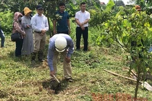 Khởi công khai quật tại di chỉ khảo cổ Vườn Chuối đợt 1-2020.