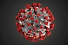 Hình minh họa virus SARS-CoV-2 do Trung tâm Kiểm soát và Phòng ngừa Dịch bệnh (CDC) Mỹ phát hành. Nguồn: Reuters.