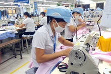Trong bối cảnh đại dịch, việc thu thập, nắm bắt thông tin thị trường lao động, cũng như tình hình lao động, việc làm, cung - cầu lao động là rất cần thiết. (Ảnh minh họa)