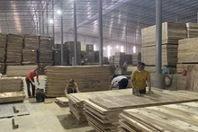 Hoạt động tại nhà máy chế biến gỗ của Công ty trách nhiệm hữu hạn Lechenwood tại Khu công nghiệp Thanh bình, huyện Chợ Mới, Bắc Kạn.