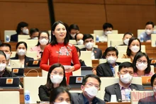 Đại biểu Quốc hội Âu Thị Mai (Tuyên Quang) chất vấn Bộ trưởng Kế hoạch và đầu tư về giải pháp thúc đẩy nhanh tiến độ giải ngân vốn đầu tư công. Ảnh: LINH NGUYÊN
