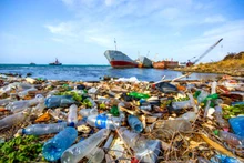 Bảo vệ môi trường biển