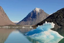 Tảng băng nhỏ còn sót lại trong vịnh băng hẹp trong hẻm núi ở Southern Greenland. Ảnh: Getty Images.