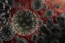 Các gai protein bao quanh virus SARS-CoV-2. Ảnh: WHO.