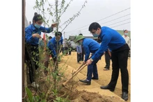 Đoàn viên thanh niên tham gia trồng 1.000 gốc hoa đào.
