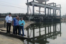 Đoàn công tác của Cục Trồng trọt kiểm tra thực tế tình hình xâm nhập mặn tại cống ngăn mặn thuộc hệ thống thủy lợi Nhật Tảo, huyện Tân Trụ, tỉnh Long An.