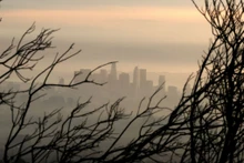 Trung tâm thành phố Los Angeles, Mỹ đằng sau khu rừng bị cháy. Ảnh: Reuters.