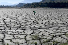 Cảnh khô hạn do nắng nóng kéo dài tại Gramsh, Albania. Ảnh: AFP/TTXVN