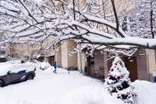 Tuyết đọng lên những nhành cây trong một khoảng sân trên đại lộ Leninsky ở thủ đô Moscow. Trong thời gian mùa đông, những ngày có tuyết rơi là những ngày thời tiết ấm hơn.