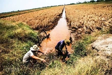 Ảnh minh họa.