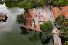 Chùa Thầy mùa hoa gạo thắp lửa