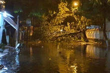 Tuyến đường Ngô Quyền, TP Kon Tum bị ngập cùng cây gãy chắn ngang đường, khiến cho người dân không lưu thông được.
