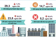 Hơn 29 nghìn doanh nghiệp thành lập mới