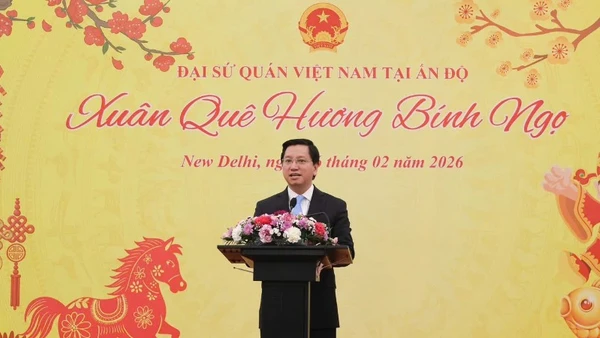 Đại sứ Nguyễn Thanh Hải phát biểu tại sự kiện. (Ảnh: Đại sứ quán Việt Nam tại Ấn Độ cung cấp)