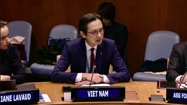 Đại sứ Đỗ Hùng Việt phát biểu tại Tọa đàm Hiệp ước Hữu nghị và Hợp tác ở Đông Nam Á. (Ảnh do Phái đoàn thường trực Việt Nam tại Liên hợp quốc cung cấp).