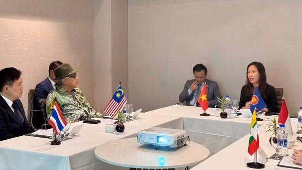 Đại sứ Việt Nam tại Sri Lanka Trịnh Thị Tâm đã chủ trì cuộc họp Ủy ban ASEAN tại Colombo.