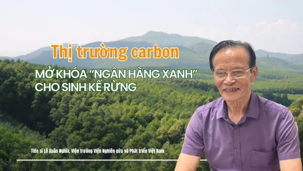 Tiến sĩ Lê Xuân Nghĩa, Viện trưởng Viện nghiên cứu và phát triển Việt Nam.