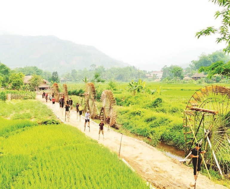 Trải nghiệm đi cà kheo giữa cánh đồng lúa. td-14-6-moi-18h52-91.jpg