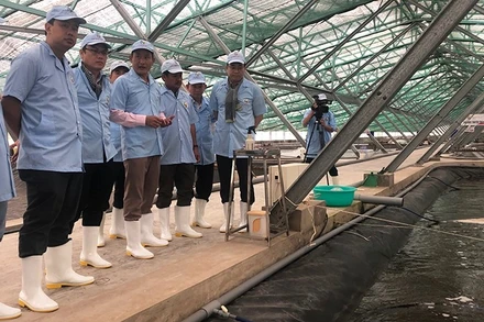 Các nhà khoa học của Đại học Quốc gia Thành phố Hồ Chí Minh tư vấn cho một doanh nghiệp nuôi tôm ở Cà Mau. (Ảnh: Báo Nhân Dân)