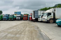 Các phương tiện tại khu vực bãi Xuân Cương, Cửa khẩu Quốc tế Hữu Nghị, tỉnh Lạng Sơn. 