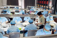 Chế biến sản phẩm từ yến ở An Giang.