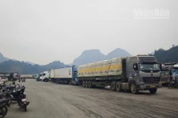 Các phương tiện chờ xuất khẩu hàng hóa tại bến bãi khu vực cửa khẩu Tân Thanh.